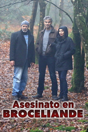 Póster de L'Inconnu de Brocéliande