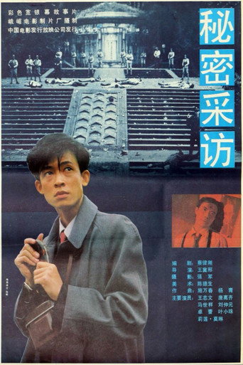 Póster de 秘密采访