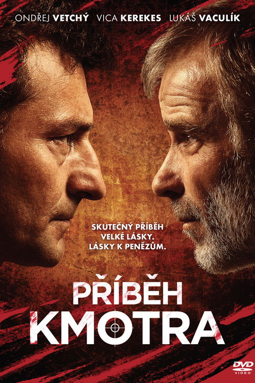 Póster de Příběh kmotra