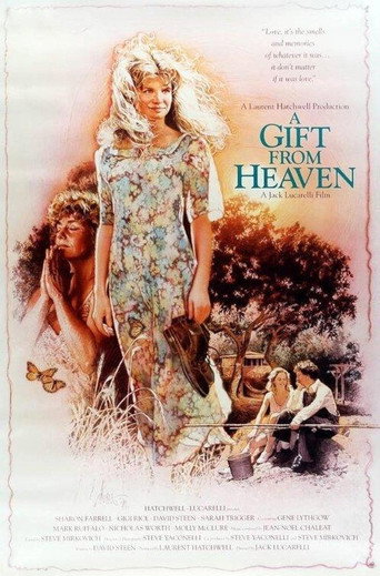 Póster de A Gift from Heaven