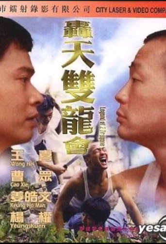 Póster de 轰天双龙会