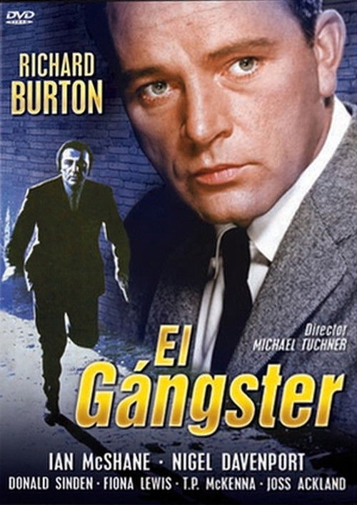 Póster de Villain