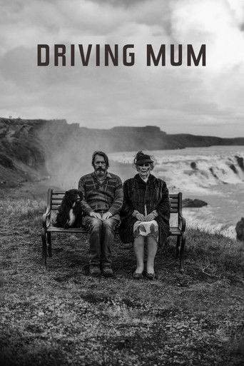 Póster de Á Ferð með Mömmu