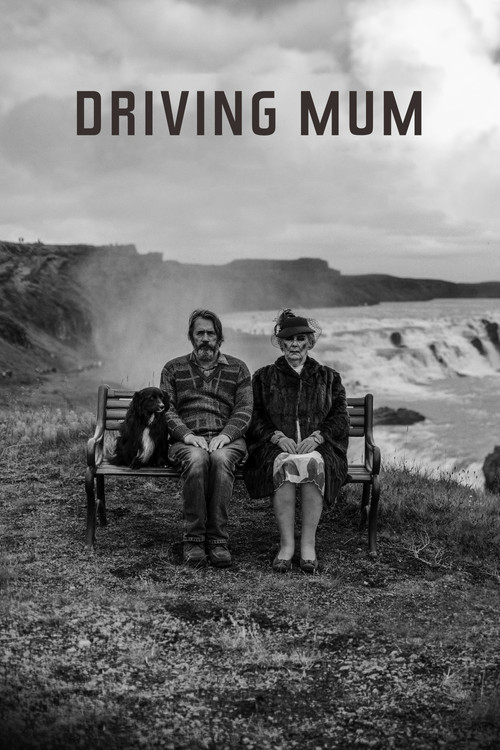 Póster de Á Ferð með Mömmu