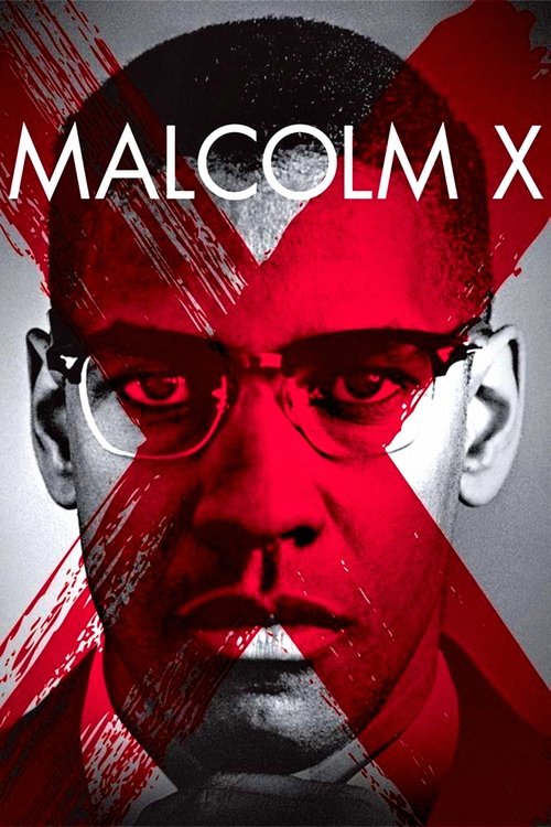 Póster de Malcolm X