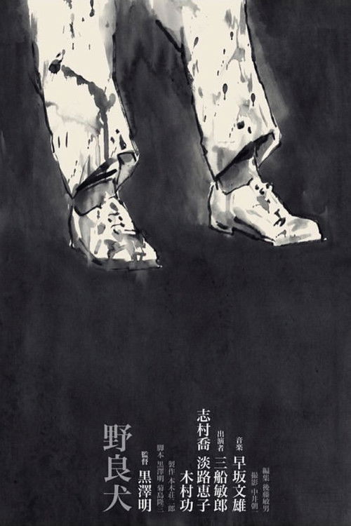 Póster de 野良犬