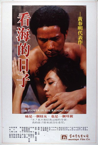 Póster de 看海的日子