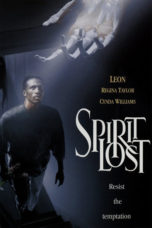 Póster de Spirit Lost