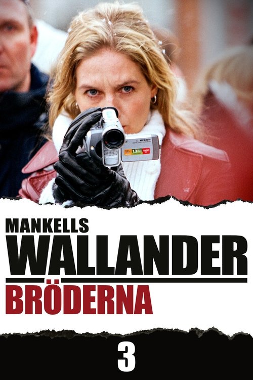 Póster de Bröderna