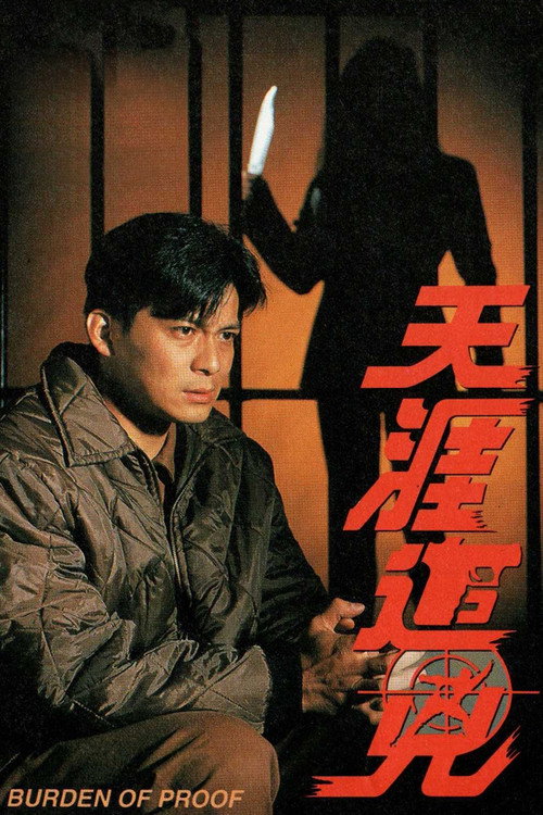 Póster de 天涯追凶
