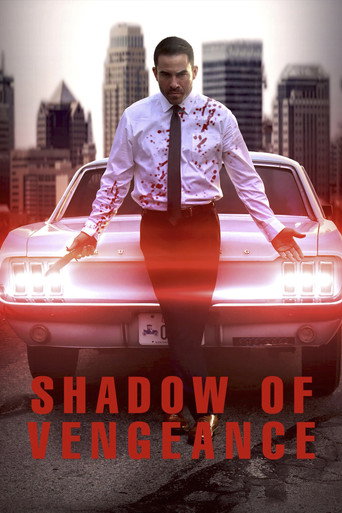 Póster de Shadow of Vengeance