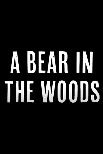 Póster de A Bear in the Woods