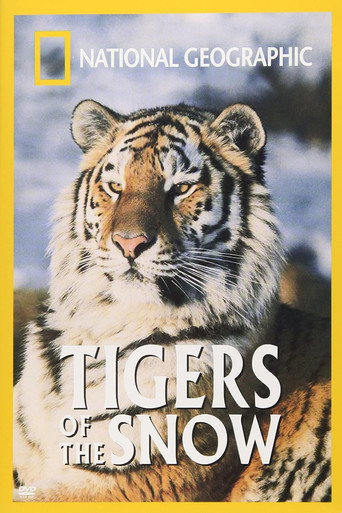 Póster de Tigers of the Snow