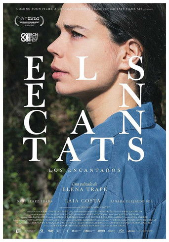 Póster de Los encantados