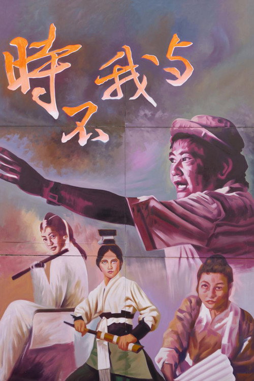 Póster de 時不我與：從台灣看胡金銓