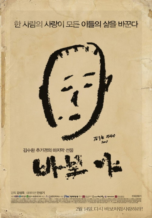 Póster de 바보야