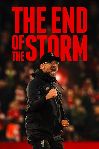 Póster de The End of the Storm