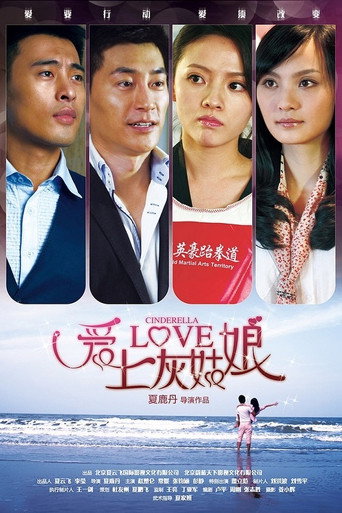Póster de 爱上灰姑娘