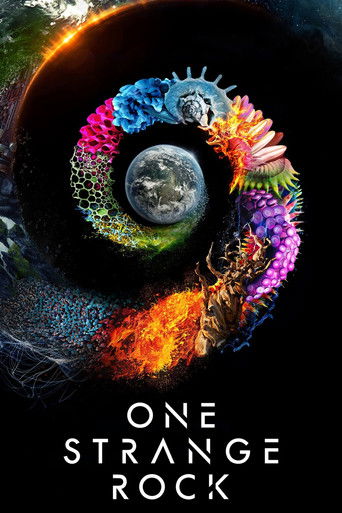 Póster de One Strange Rock
