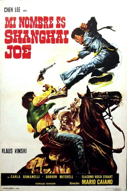 Póster de Il mio nome è Shanghai Joe
