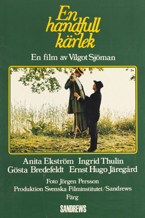 Póster de En handfull kärlek