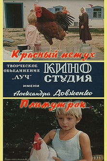 Póster de Красный петух плимутрок