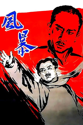 Póster de 风暴
