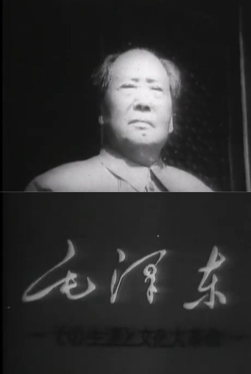 Póster de 毛沢東--その生涯と文化大革命--