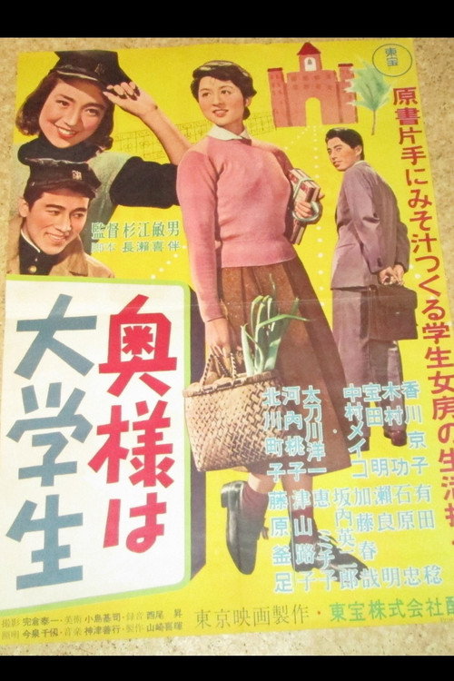 Póster de 奥様は大学生
