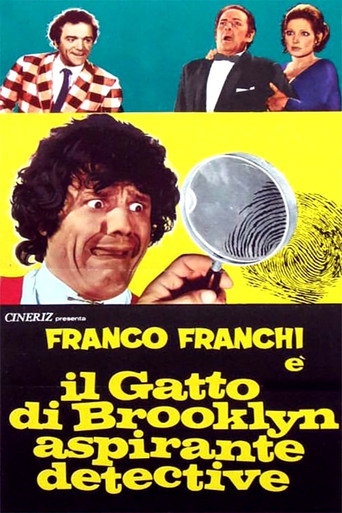 Póster de Il Gatto di Brooklyn aspirante detective