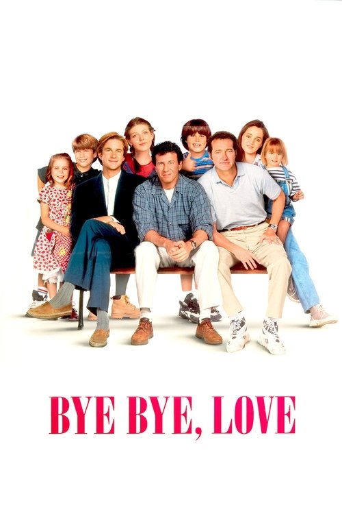 Póster de Bye Bye Love