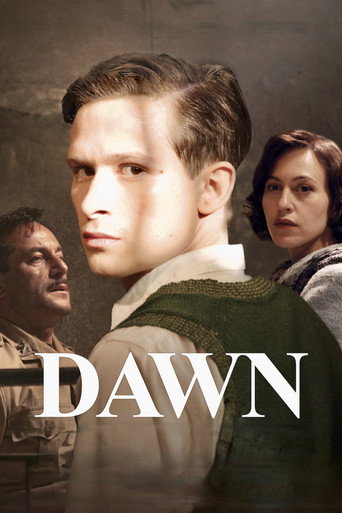 Póster de Dawn