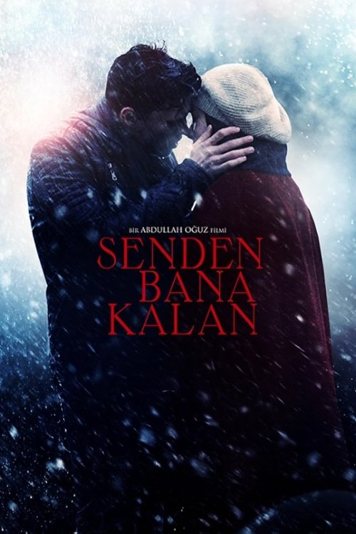 Póster de Senden Bana Kalan