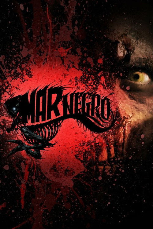 Póster de Mar Negro