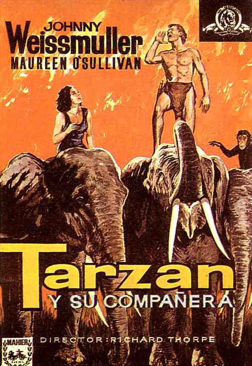 Póster de Tarzán y su compañera