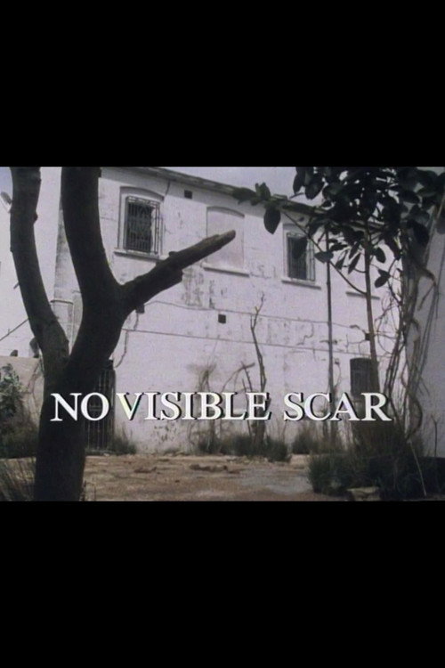 Póster de No Visible Scar