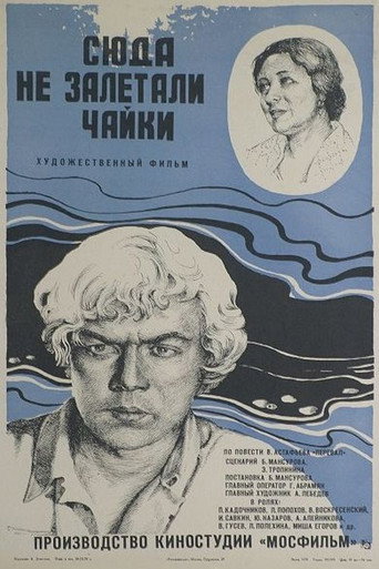 Póster de Сюда не залетали чайки