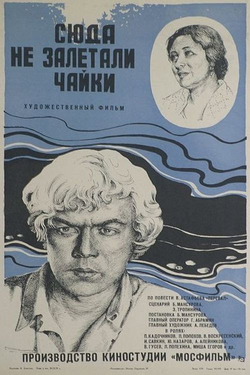 Póster de Сюда не залетали чайки