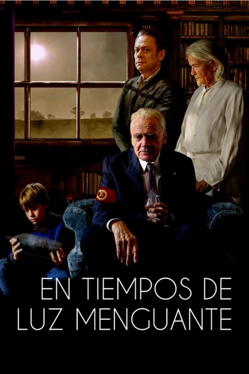 Póster de In Zeiten des abnehmenden Lichts