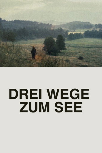 Póster de Drei Wege zum See