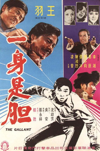 Póster de 一身是胆