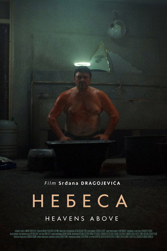 Póster de Nebesa