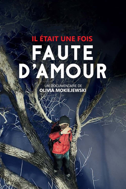Póster de Il était une fois... « Faute d'amour »