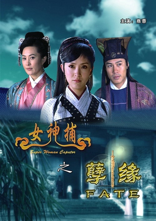 Póster de 女神捕之孽缘