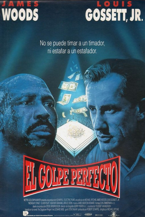 Póster de El golpe perfecto