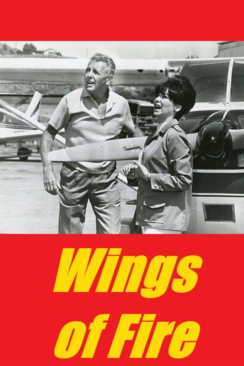 Póster de Wings of Fire