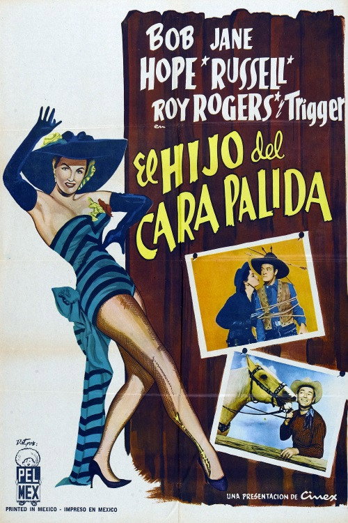 Póster de El hijo del carapálida