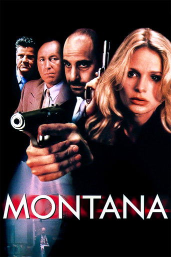 Póster de Montana