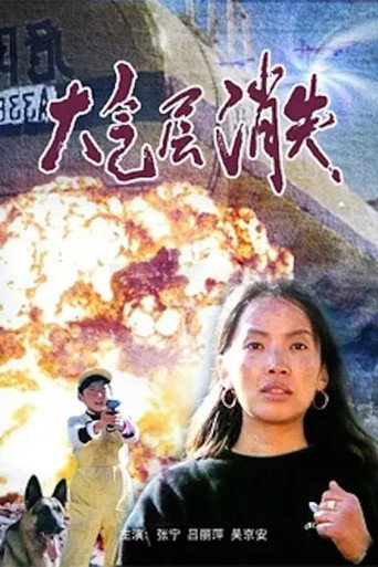 Póster de 大气层消失