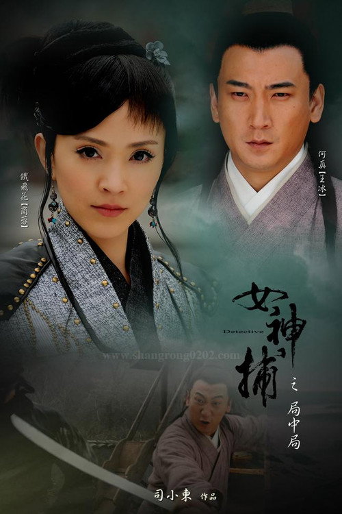 Póster de 女神捕之局中局